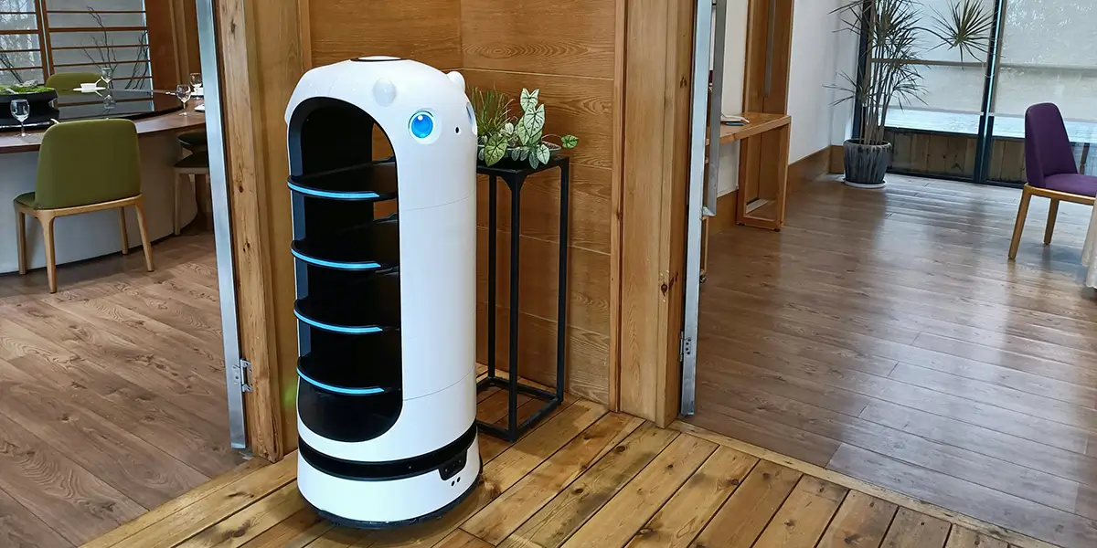 service robot