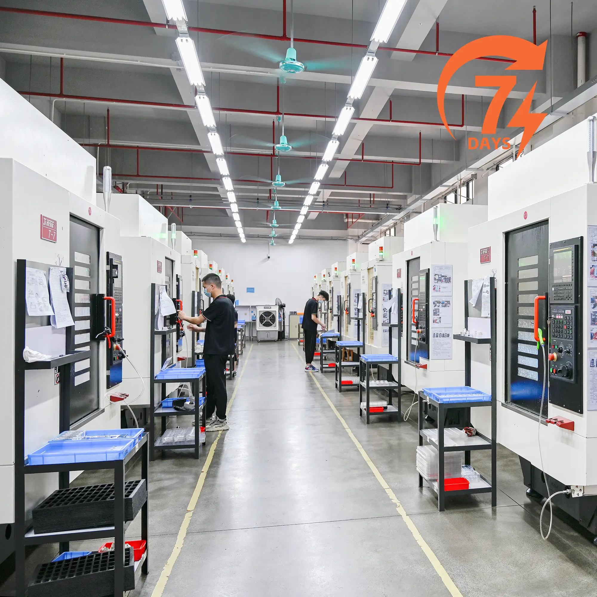 7-day Sample Production