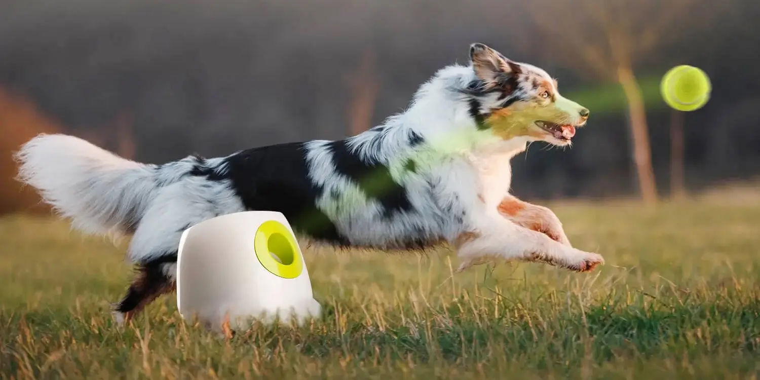 Remote-controlled ball throwing machine