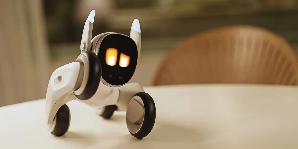 wheeled robot