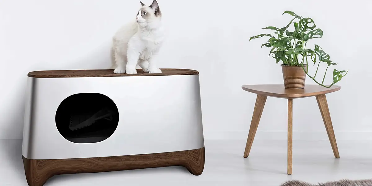 Smart Cat Bed