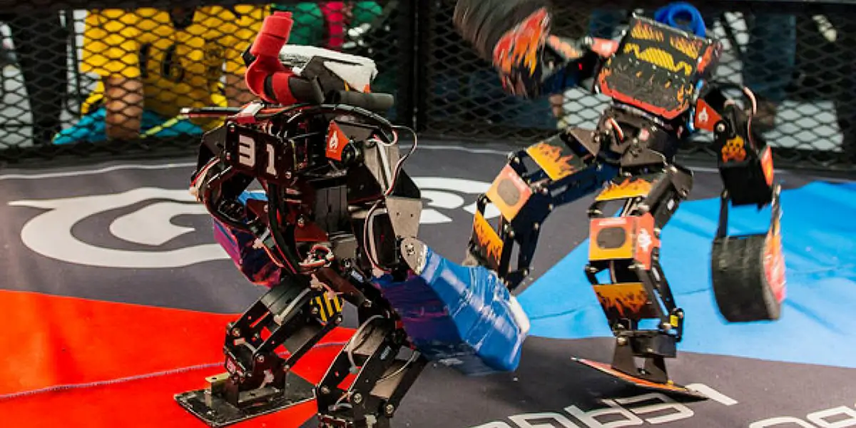fighting robot
